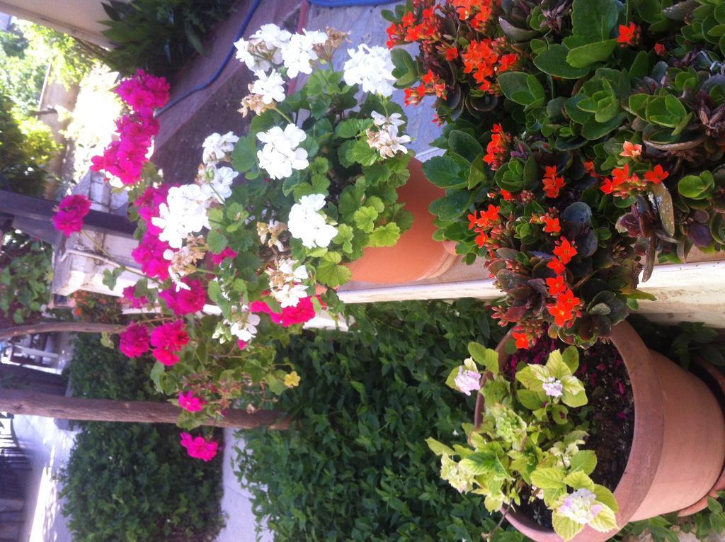 Besik Hotel Fethiye Buitenkant foto