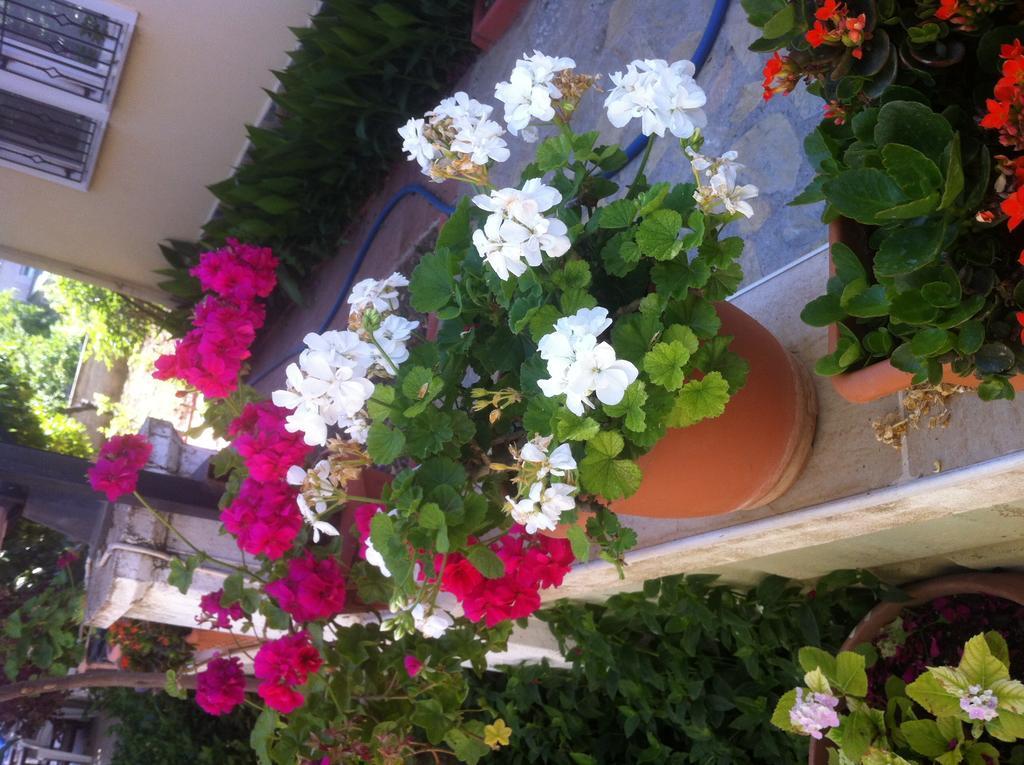 Besik Hotel Fethiye Buitenkant foto