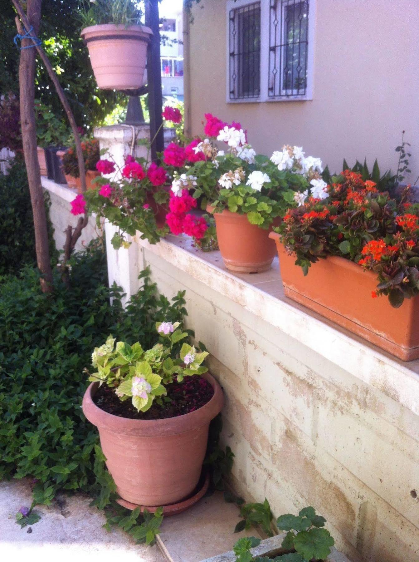 Besik Hotel Fethiye Buitenkant foto